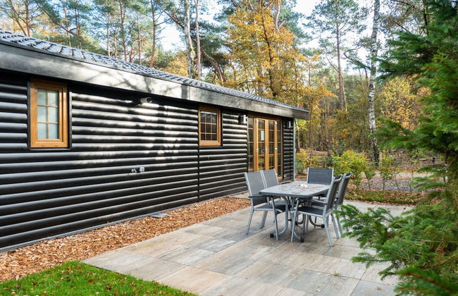 Wooden Chalet with Dishwasher near De Veluwe National Park - Foto 28