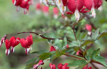 Mountain Vistas House and Acreage - Foto 76