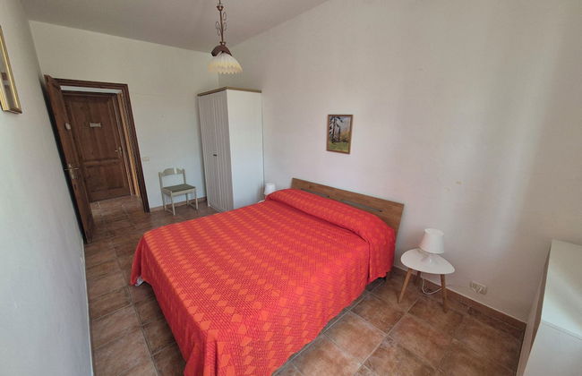 L Agave e la Palma Nana - Foto 7