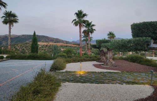 La Marabulla - Photo 43