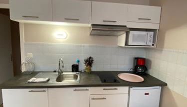 LA Marmotte ensoleillé centre ville 15mn LIORAN - Foto 5