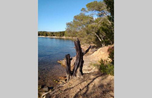 FACE MER ENTRE PLAGE ET MARINA - Foto 31