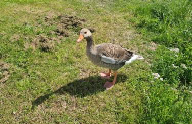 The Seaflower - With Lake Views - Foto 14