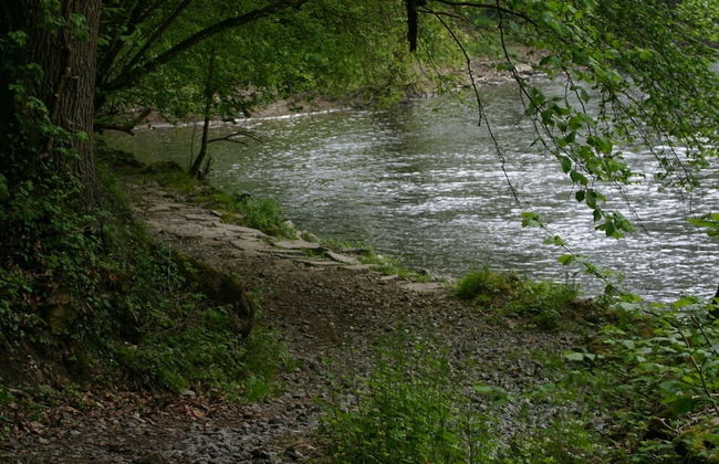 A Chalet for Re-energising in Peace, not far From Durbuy - Photo 24