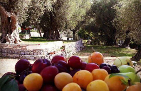 Pie' d'Ulivo - Foto 74