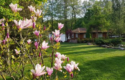 Domek Mazury - Jezioro Orzysz - Foto 23