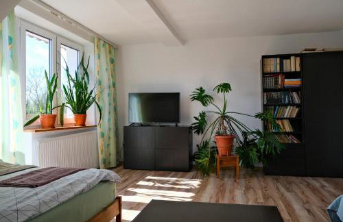 Pokoje u Ani - Foto 33