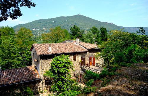 Mas Mialou - Foto 25