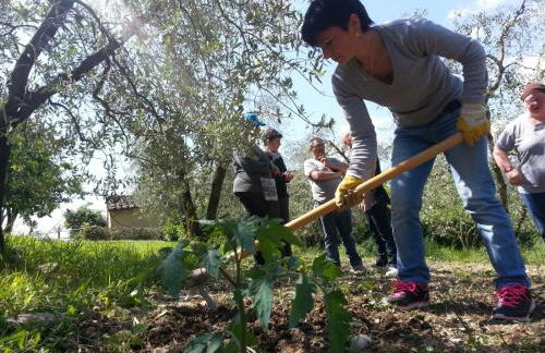 Agriturismo Antico Loggiato - Foto 43