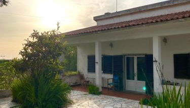 House of green leaves - Foto 5