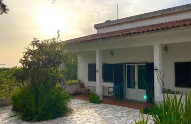 House of green leaves - Foto 5