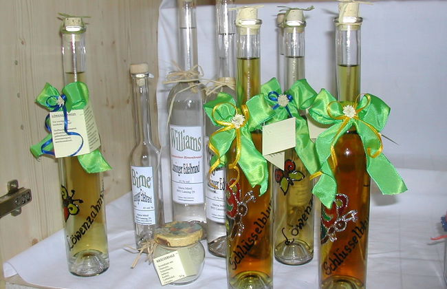 Bio Bauernhof Hotel Matlschweiger - Foto 3