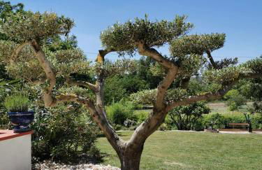 Le gîte du Moulin - Foto 39