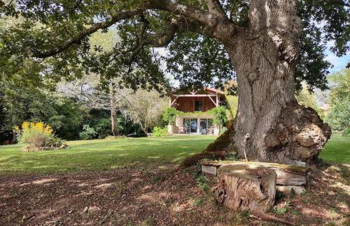 The Lake Cottage in Gascony France - Foto 17