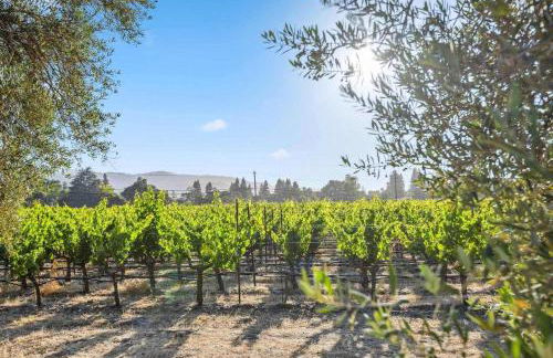 Modern Organic Home with Backyard Creek near State Park - Foto 39