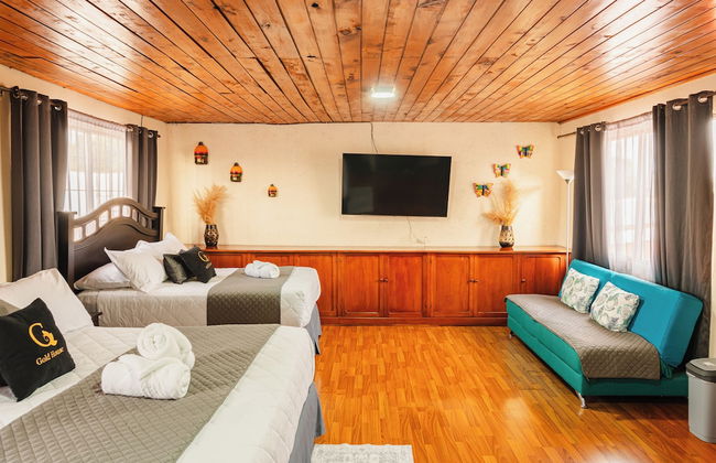 Gold House - Photo 10