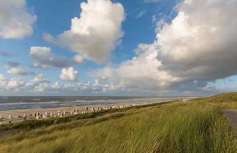 Arche Svea Kiebitz - Foto 18