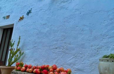 La Corte dei Colori - Foto 65