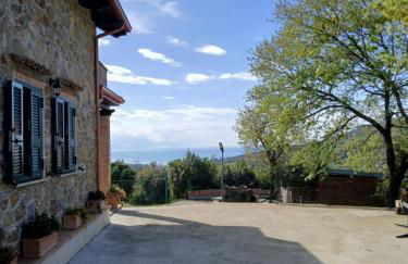 I Corbezzoli - Foto 5