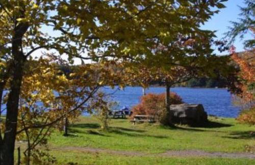 Colgate Lake Lodge - Foto 72