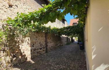 Casa Ciconia - Über den Dächern der Altstadt - Foto 11