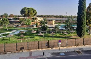 Olivar de Gines a un paso de Sevilla - Foto 11