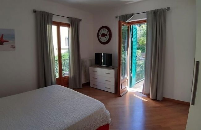 Stella di Mare - Foto 2