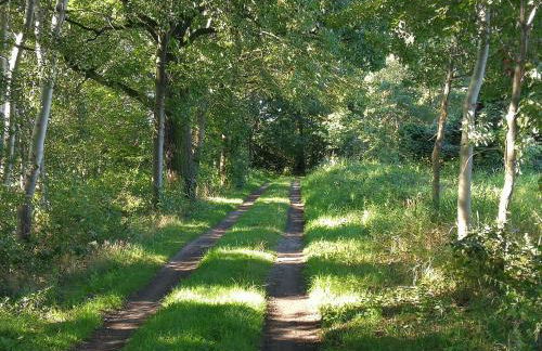 Doberschützer Hof - Foto 41