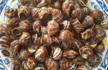 Villa Olga - Foto 47