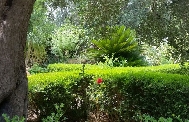 Le Radici Casa Vacanze - Foto 57