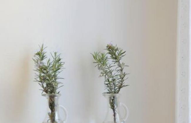 B&B River Venice - Foto 13