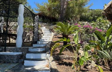 Villa La Birbirella - Foto 31