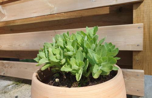 La Villa Juliette L'Etoile Filante Gite - Foto 16