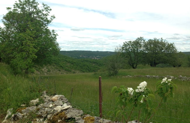 Le Domaine des Ramonets - Foto 30