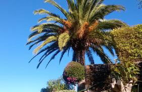 Casa Naranjo - Foto 11