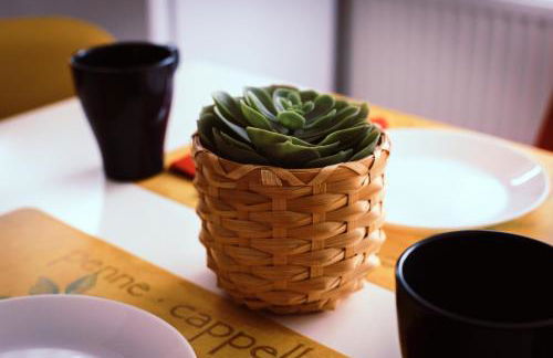 Studio Duria - Foto 16