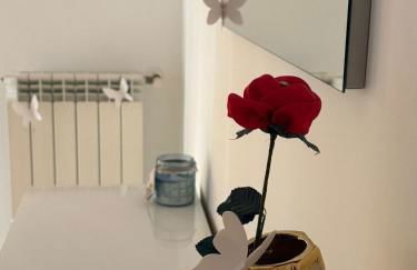 la iaia's home - Foto 24