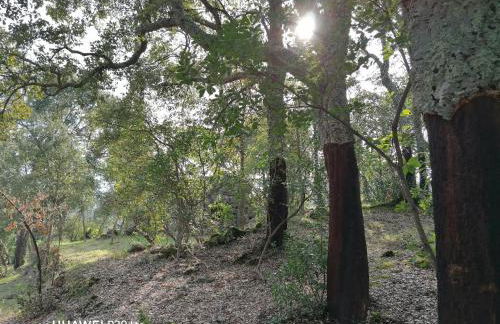 Casa Douro Terrace - Foto 56