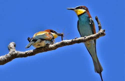 Hotel Casa Rural Don Álvaro de Luna - Foto 22