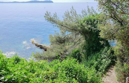 Maison bord de mer vue exceptionnelle avec accès privé - Photo 13