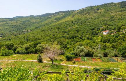 House Mirjana with pool by Villas Guide - Photo 40