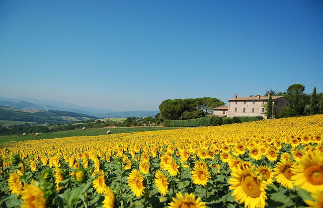Agriturismo Casale dei Frontini - Foto 60