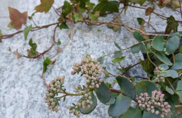 Appartamento Picche - Foto 29