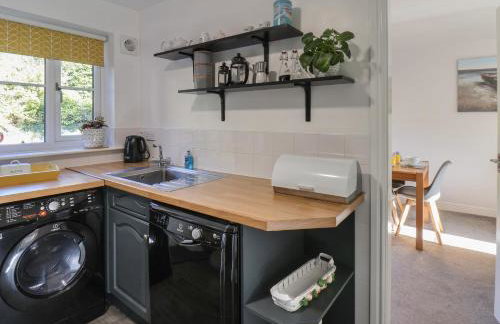 Dabbling Ducks - Foto 8