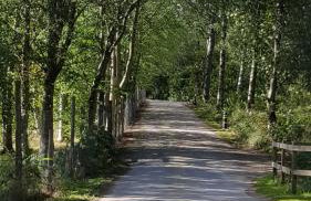 Inchmarlo Golf Resort, Banchory Villa 26 AS 00266F - Foto 31