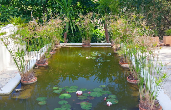 Haveli House - Photo 65