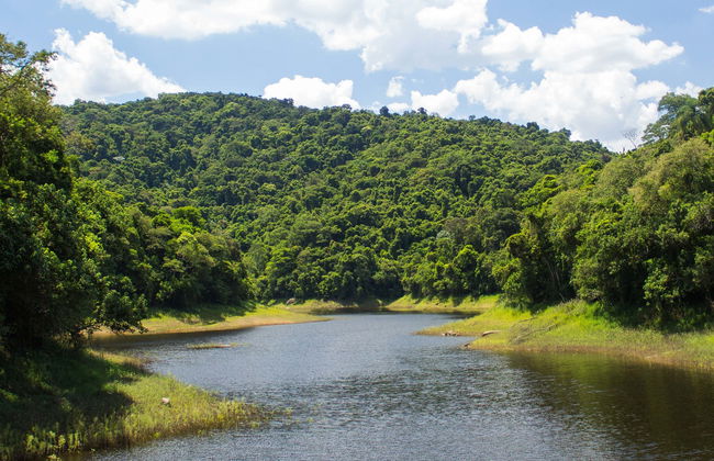 Serra da Cantareira Trekking Experience - Foto 1