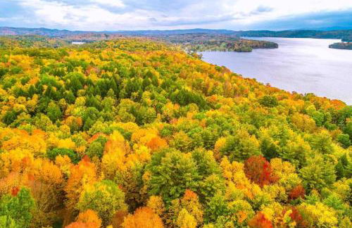 The Cottage in East Poultney - Foto 21