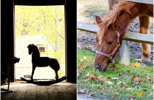 Two-Person Retreat on Horse Farm in Lee, New Hampshire - Photo 12