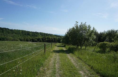 Domki na Łące - Foto 22